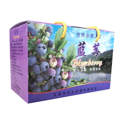 玉溪蓝莓礼盒125g*6小盒 商品图0