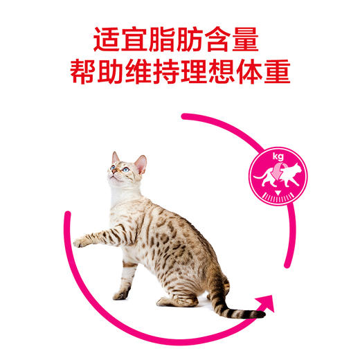 皇家口感型猫粮肠道舒适挑嘴成猫猫粮EP42/ES35 商品图5
