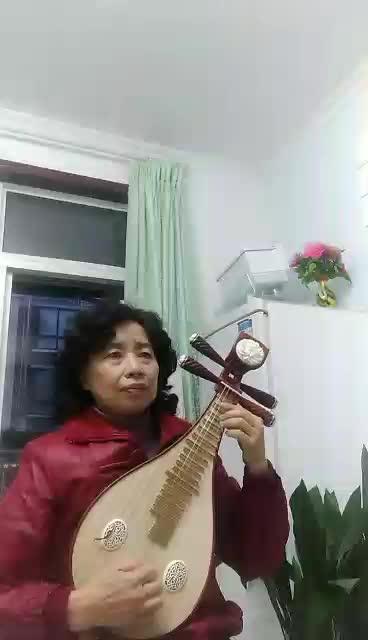 西陵莺歌艺术团柳琴演奏《紫竹调》  岳远凤 商品图0