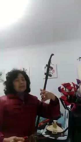 西陵莺歌艺术团二胡演奏《江南春早》  岳远凤