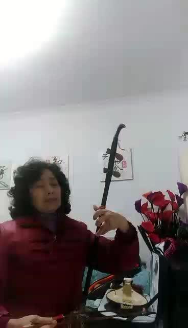 西陵莺歌艺术团二胡演奏《江南春早》  岳远凤 商品图0