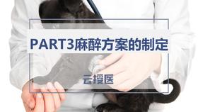 麻醉3 麻醉方案的制定