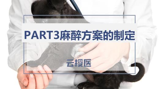 麻醉3 麻醉方案的制定 商品图0