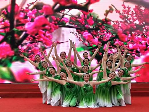 楠海花艺术团（队长：望开明） 商品图0