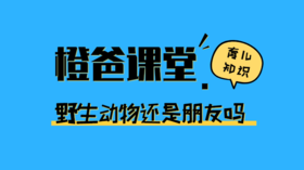野生动物还是我们的朋友吗？