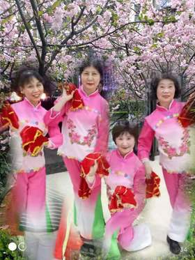 雪松舞蹈队精彩回眸（队长：冯群）