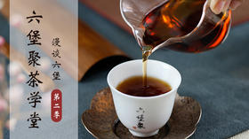 漫谈六堡（第二季）听资深茶人讲六堡