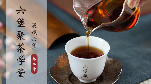 漫谈六堡（第二季）听资深茶人讲六堡 商品图0