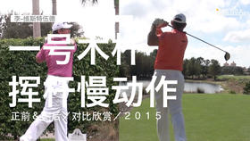 李-维斯特伍德｜一号木挥杆慢动作／正前＆侧后／对比欣赏／２０１５