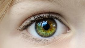 班长课堂005 | 护眼技巧，干货之二