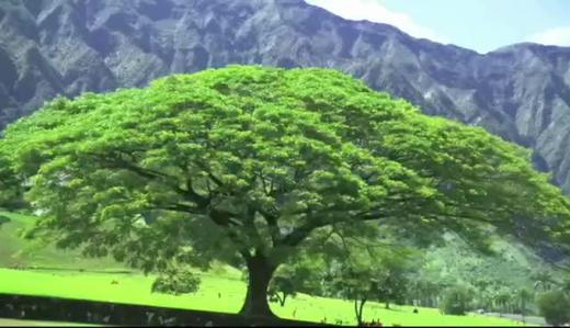 速记单词第二课时 商品图0