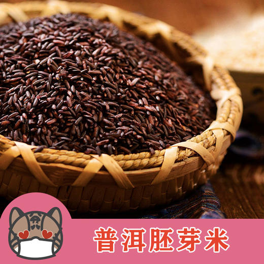 【云海肴墨江胚芽米】紫胚芽米/白胚芽米/红胚芽米 保留了大米的营养纤维  富含天然花青素  4种规格任选 中秋送礼礼盒推荐 商品图0