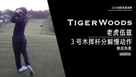 老虎伍兹｜2020三号木挥杆分解慢动作／侧后角度