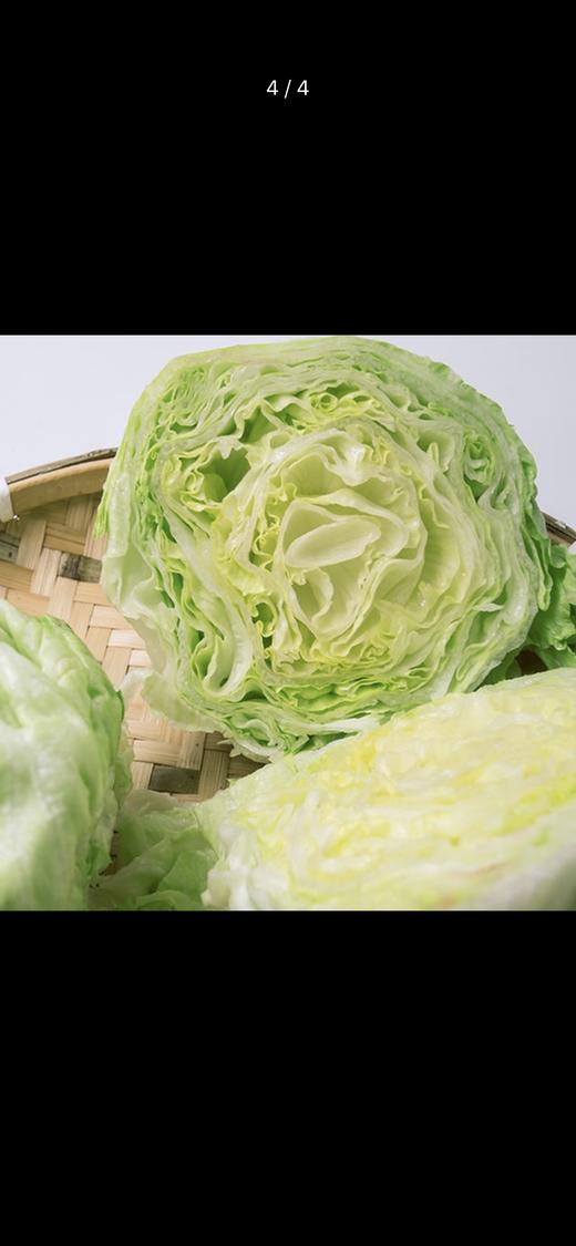生菜每公斤 商品图2