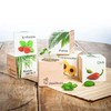 奥地利Ecocube立方生态环保盆栽小绿植桌面办公室创意植物花卉苗 商品缩略图0