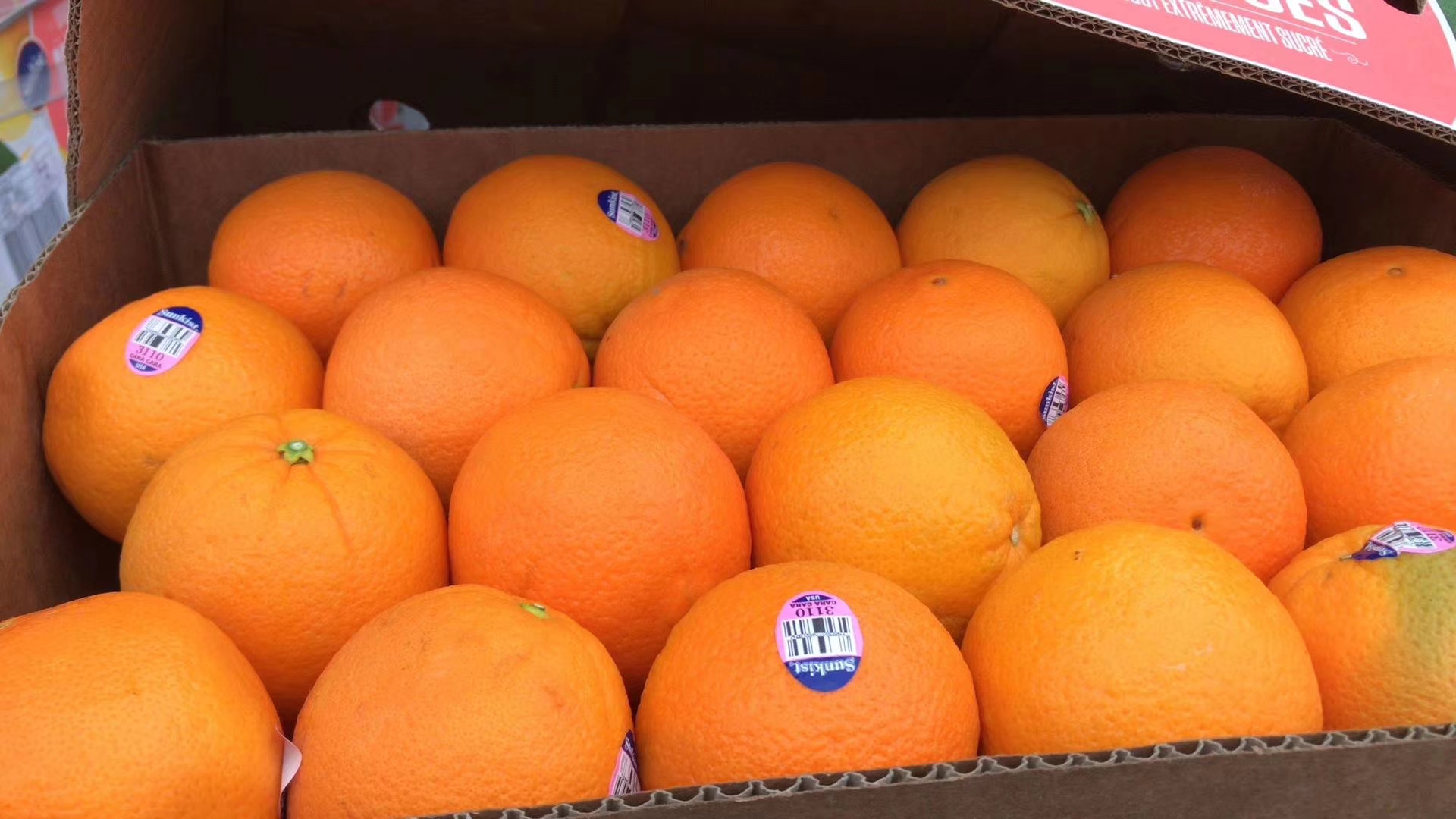 【全国包邮,边远地区除外】美国新奇士3110血橙 浓郁的果味及香味!