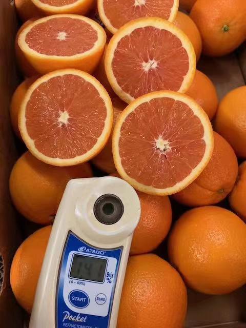 全国包邮美国新奇士3110血橙浓郁的果味及香味纤维细汁水足酸酸甜甜