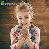 奥地利Ecocube立方生态环保盆栽小绿植桌面办公室创意植物花卉苗 商品缩略图1