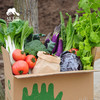 【素食友好】生态蔬菇豆蛋综合蔬菜箱（瓜叶搭，6-11种蔬菜，菇豆腐豆芽鸡蛋）| 绿家自产* Ecological Vegetable Box | Self-production 商品缩略图1