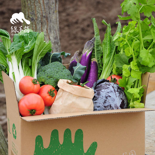【素食友好】生态蔬菇豆蛋综合蔬菜箱（瓜叶搭，6-11种蔬菜，菇豆腐豆芽鸡蛋）| 绿家自产* Ecological Vegetable Box | Self-production 商品图1