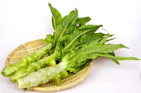 莴笋｜静物自产