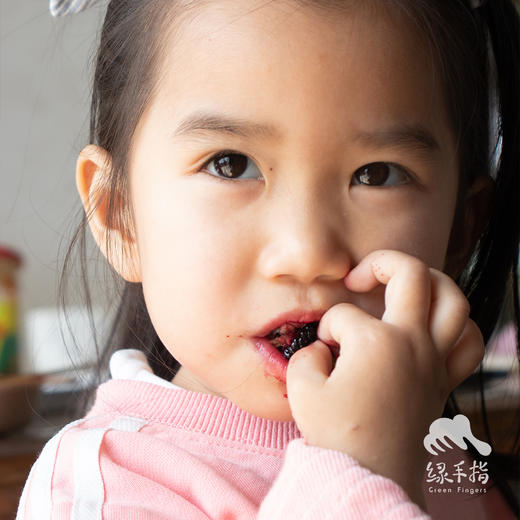 生态桑葚（酸甜，预售，预计一周内发出，下雨停发） | 绿家自产*Eco-mulberry | Self-production 商品图2