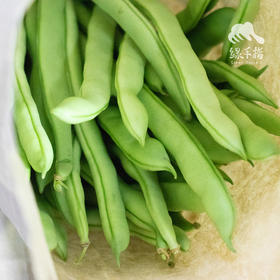 生态四季豆 | 绿家自产Organic kidney bean | Self-production