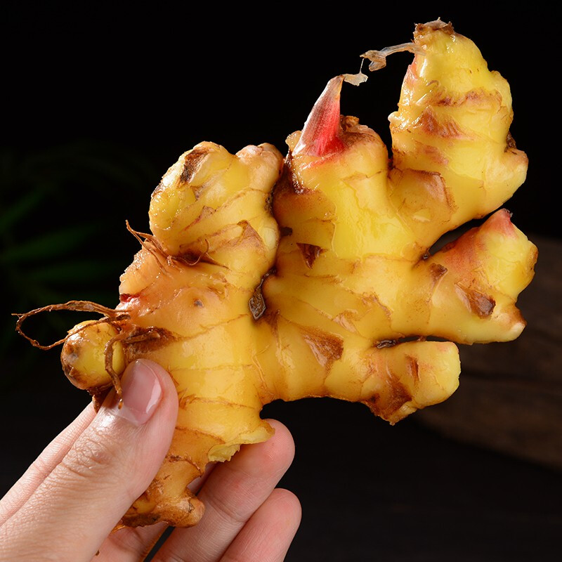 够香够辣药食同源丘北高山小黄姜老姜