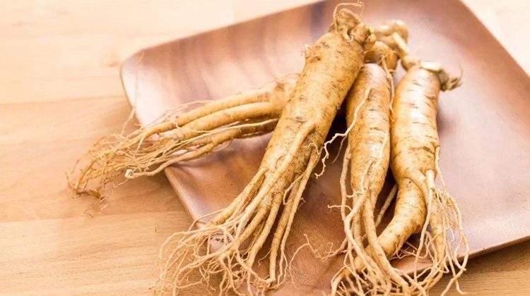 班长课堂007 | 吃人参会吃到眼瞎？