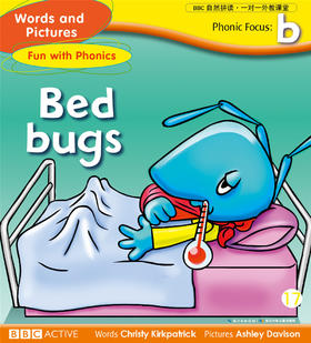 17 bed bugs