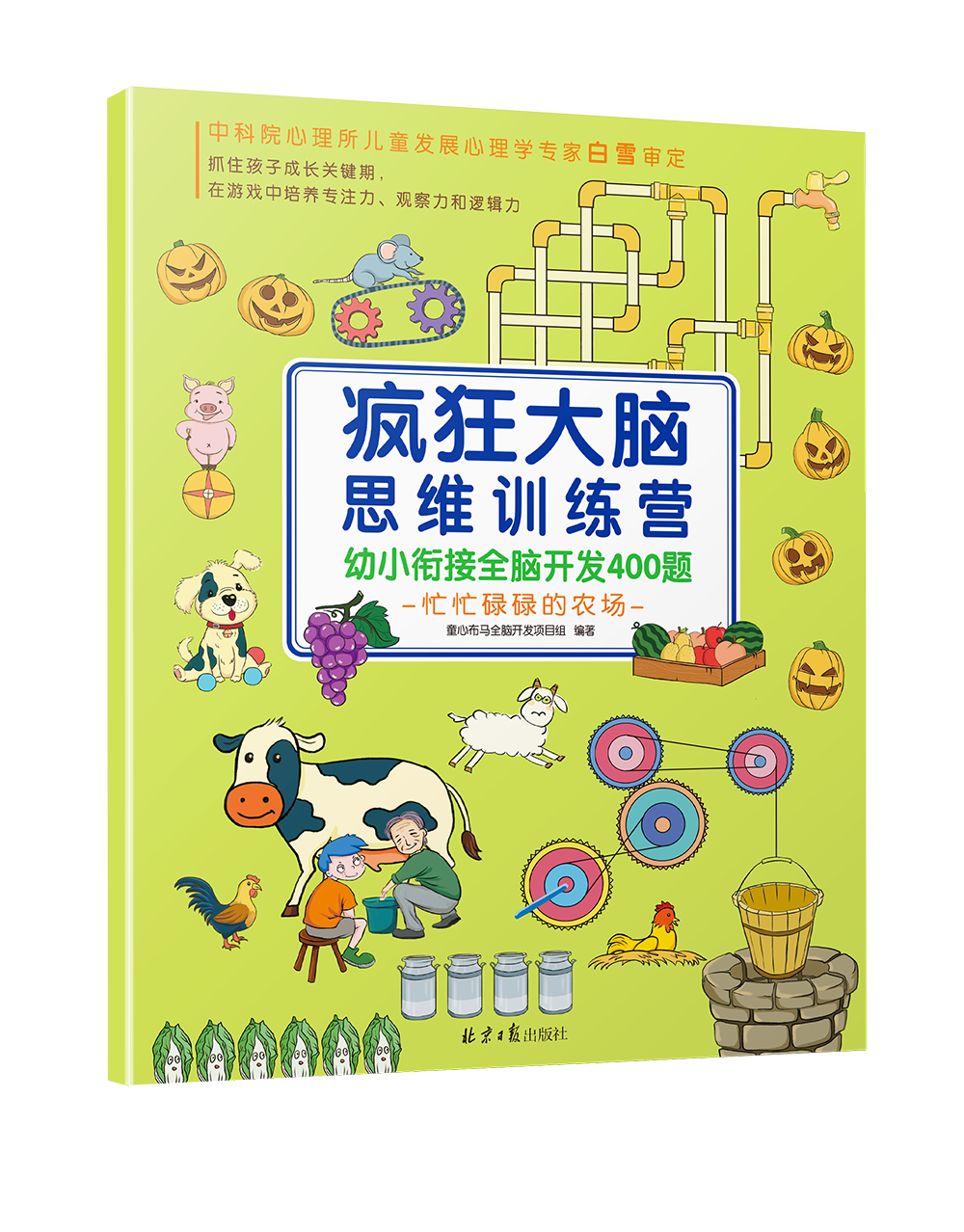 《疯狂大脑思维训练营》全10册,幼小衔接全脑开发400题,适合3-7岁