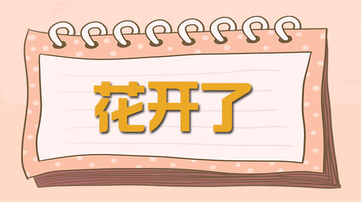 故事-花开了 商品图0