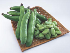 蚕豆500g｜静物自产