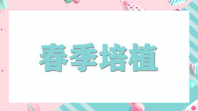 家务我能行：春季培植
