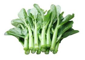 菜心300g｜静物自产