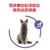 皇家老年猫粮绝育猫粮S27/SA37 商品缩略图4