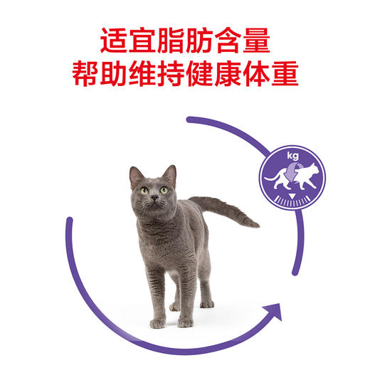 皇家老年猫粮绝育猫粮S27/SA37 商品图8