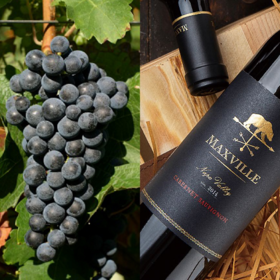 了解美国红葡萄品种