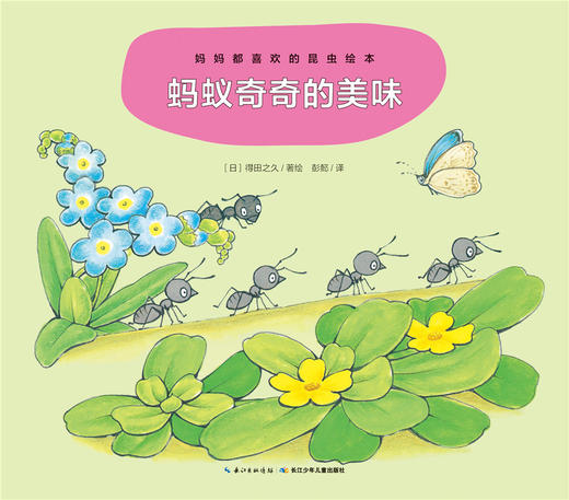 蚂蚁奇奇的美味 商品图0