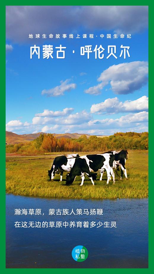 中国生命纪·呼伦贝尔DAY.5 商品图0