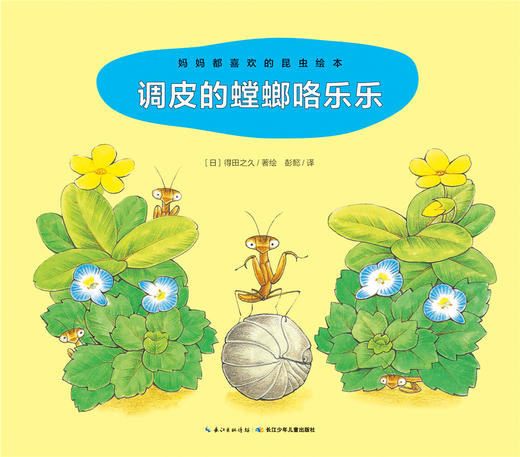 调皮的螳螂咯乐乐 商品图0