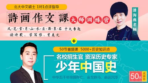 中国史39课 精忠岳飞 商品图0