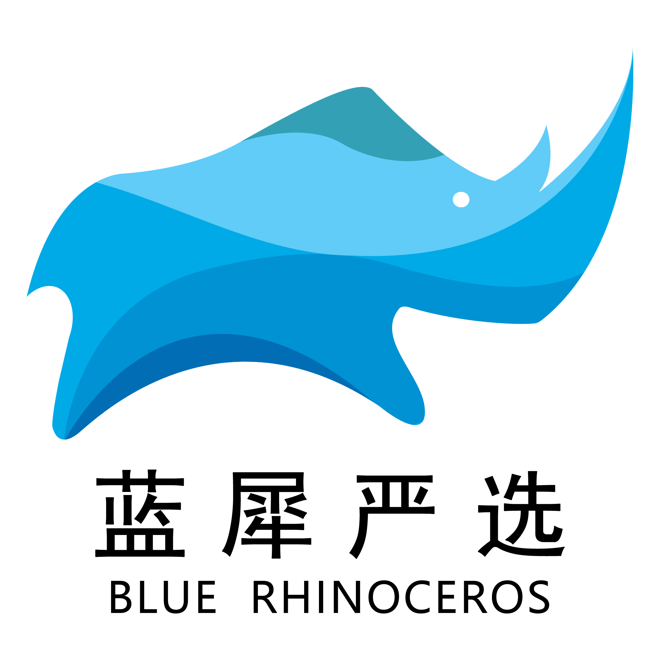 蓝犀严选240915251208