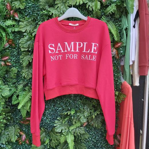 上女字母卫衣3298 商品图1