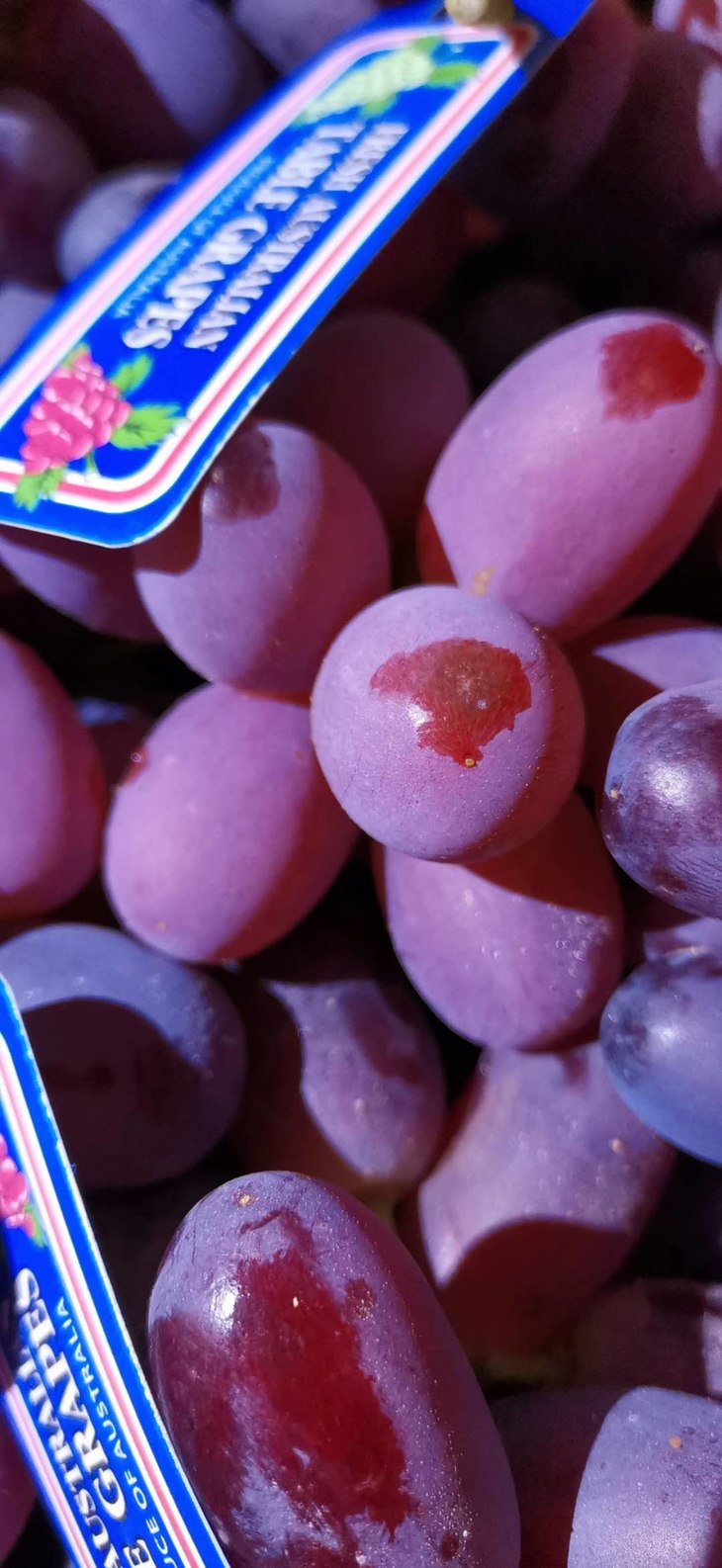 【 全国包邮,边远地区除外】澳洲无籽克瑞森红提,颗