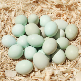 物本源绿皮土鸡蛋-10枚