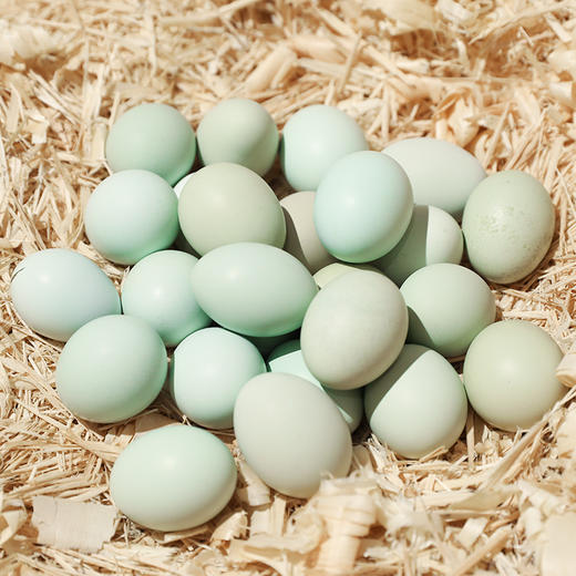 物本源绿皮土鸡蛋-10枚 商品图0