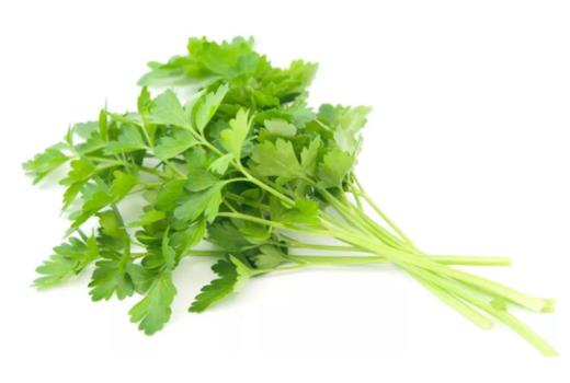 香菜150g/盒 商品图0