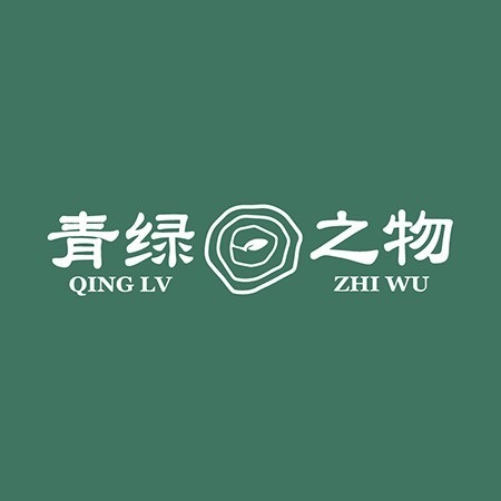 青绿之物企业店210320