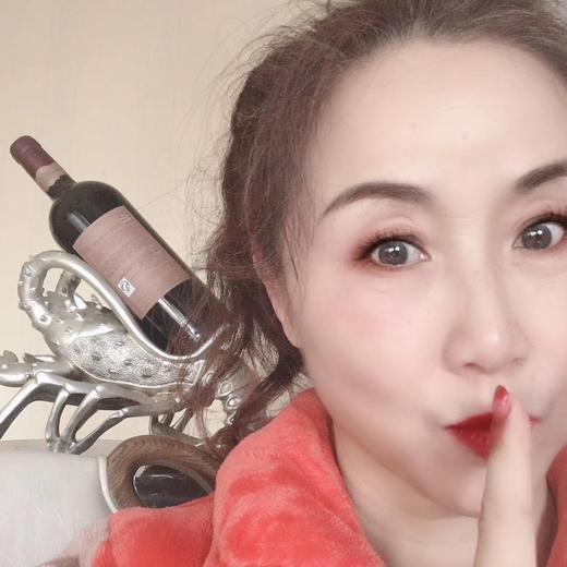 东辰群艺团（队长：王瑞芳） 商品图0